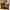 New Authentic MarhenJ Korean Bag photo 2