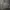 Adidas Casual Hoody Pria gray photo 4