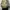 Y2K Bomber jacket Pria tan photo 3