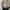 Y2K Bomber jacket Pria tan photo 2