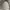 Dickies Double Knee Grey photo 6