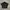 polo shirt y2k grunge photo 1