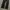 Black Washed Denim photo 3
