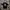 Kaos Emotion Planet photo 1
