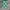 Luxury Skirt Wanita green photo 2