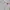 Streetwear Vintage Windbreaker Kids gray photo 3