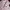 Another Shop Lolita Coquette Sweater Wanita multicolor pink photo 3