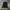 Fila Black Ziphoodie photo 1