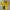 Jersey Kashiwa Reysol 1995 Original photo 1