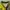 Jersey Kashiwa Reysol 1995 Original photo 5