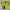 Jersey Kashiwa Reysol 1995 Original photo 1