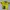 Jersey Kashiwa Reysol 1995 Original