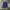 Fila Sherpa Ziphoodie photo 1