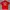 Jersey Nagoya Grampus 1993 Original photo 6