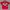 Jersey Nagoya Grampus 1993 Original photo 1