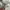 Jersey Manchester United 2023 2024 photo 5