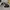 Nike Airmax Ivo photo 1