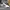 Adidas Forum Mid  photo 1