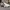 Nike Airmax Ivo  photo 1