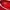 Jersey Timnas Indonesia Home 2024 Erspo Mees Hilgers photo 4