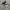 Zipper Hoodie Pancoat Doggy  photo 5