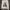 Acme De La Vie  Streetwear Hoody Pria white photo 1