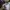 Converse  chuck taylor all star photo 5