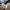 Converse  chuck taylor all star photo 7