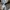 Converse  chuck taylor all star photo 8