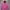 Jaket Bulu Angsa Uniqlo Ultralight Womens Series photo 2