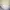 KASUR ZINUS  photo 1