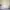 KASUR ZINUS  photo 3