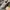 NIKE BLAZER LOW 77 PAINT SPLATTER photo 6