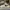 NIKE BLAZER LOW 77 PAINT SPLATTER photo 1