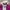 Streetwear Vintage Windbreaker Pria white pink photo 5