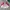 Streetwear Vintage Windbreaker Pria white pink photo 2