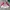 Streetwear Vintage Windbreaker Pria White Pink