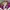 Streetwear Vintage Windbreaker Pria white pink photo 3
