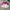 Streetwear Vintage Windbreaker Pria white pink photo 4