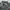 Camo US Army Shirt Canvas photo 6