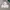Descente Streetwear Vintage Windbreaker Pria white pink photo 4