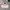 Descente Streetwear Vintage Windbreaker Pria White Pink