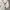 Descente Streetwear Vintage Windbreaker Pria white pink photo 7