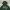 Zip Hoodie NFL Packers photo 3