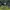 Zip Hoodie NFL Packers photo 5