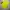 Jersey Dortmund Official Homme 11/12 photo 5