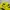 Jersey Dortmund Official Homme 11/12 photo 2