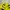 Jersey Dortmund Official Homme 11/12