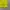Jersey Dortmund Official Homme 11/12 photo 4