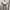 top milkmaid babydoll soft colour photo 1
